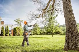 Best Emergency Tree Removal  in , NJ